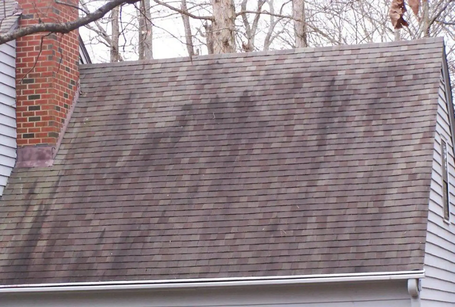 Algae stains are not just unsightly, they can damage your shingle roof.