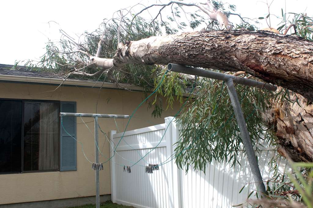 We have extensive experience repairing tree damage to roofs