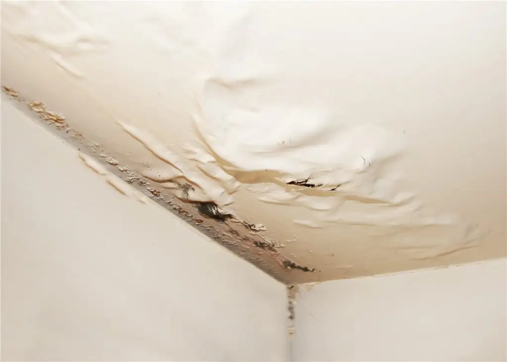 water damage from roof leaks is a common problem for Long Island homeowners