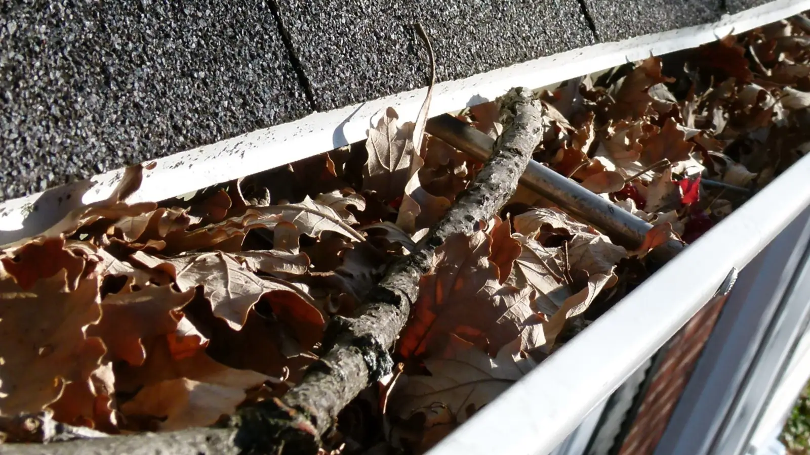 Clogged Gutters are a common cause of Long Island roof problems