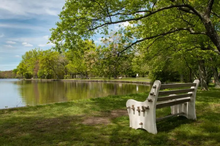 A bench by the side of a lake in Belmont State Park, North Babylon, New York